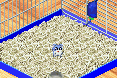 Hamster Monogatari 2 GBA Screenshot 1